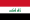 Iraq Fuck Cat