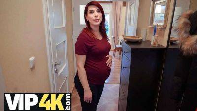 Pregnant MILF Secures Debt Delay with Intimate Agent Encounter - porntry.com